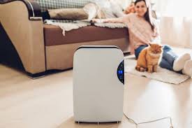 does air purifier help with dust?
