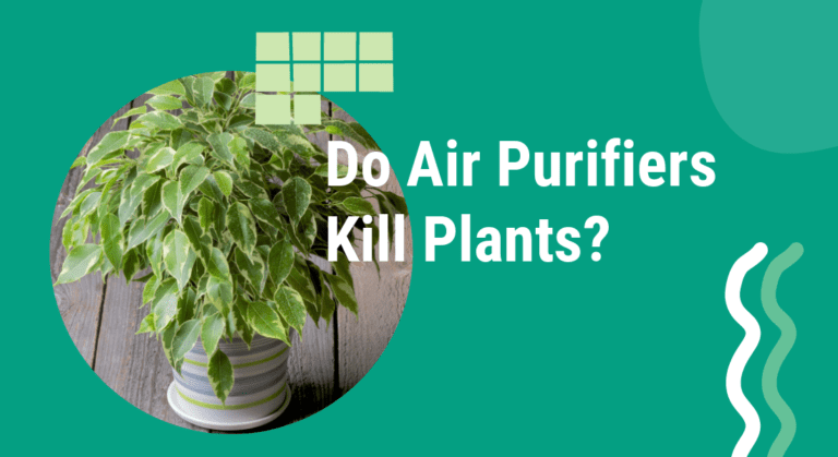 do air purifiers kill plants?