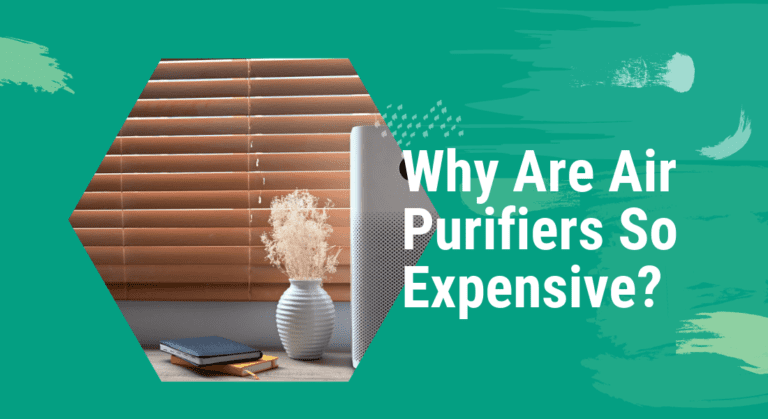 The Cost of Clean Air: Why Are Air Purifiers So Expensive?