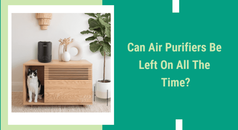can air purifiers be left on all the time?