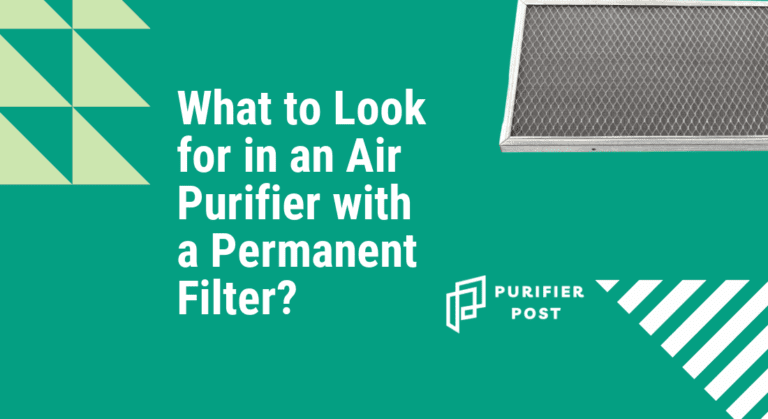 What to Look for in an Air Purifier with a Permanent Filter?