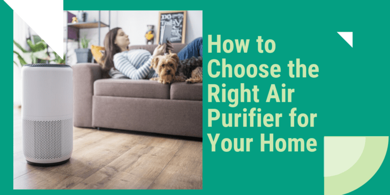 How to Choose the Right Air Purifier for Your Home