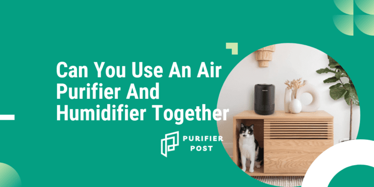 can you use an air purifier and humidifier together