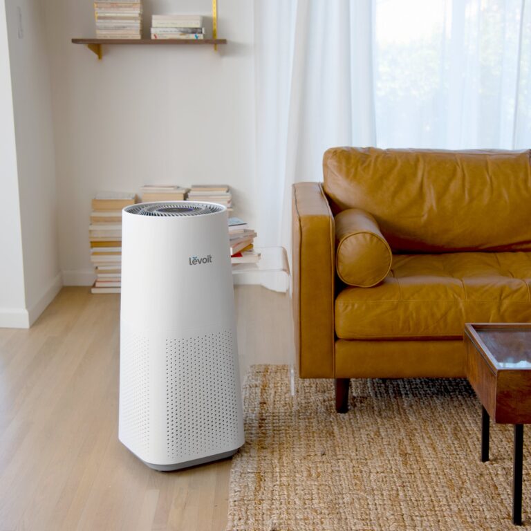 is air purifier worth it?