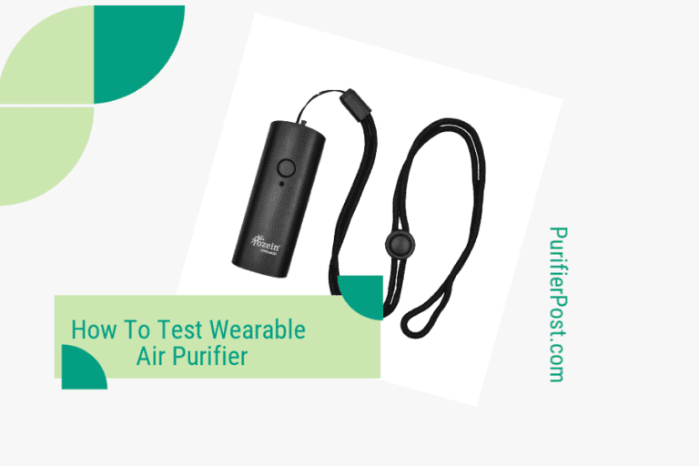 how to test wearable air purifier