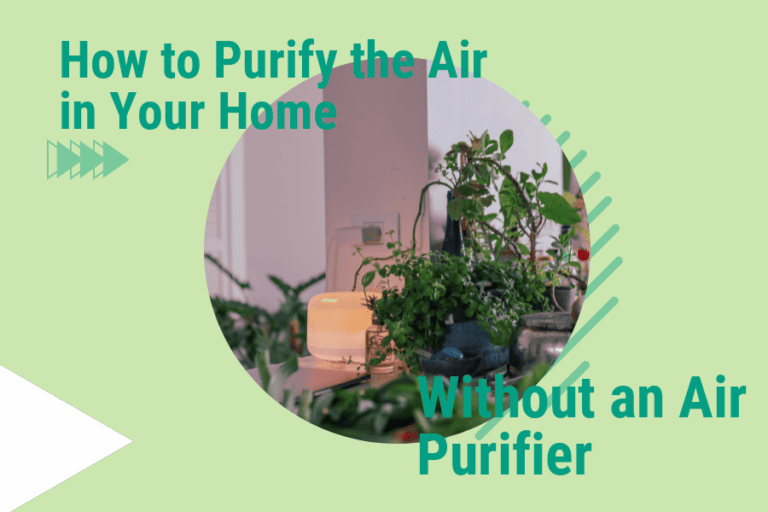 How to Purify the Air in Your Home Without an Air Purifier