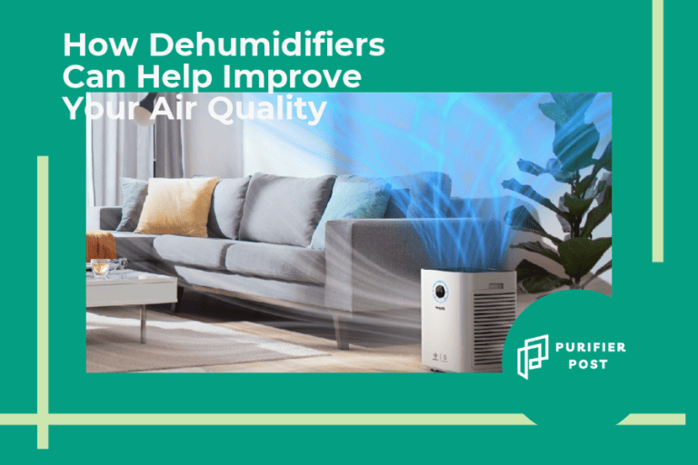 How Dehumidifiers Can Help Improve Your Air Quality