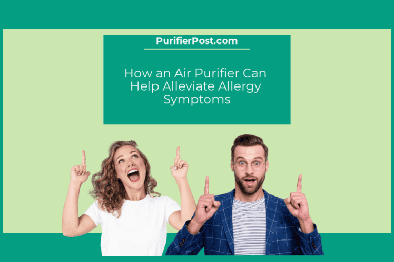 How an Air Purifier Can Help Alleviate Allergy Symptoms