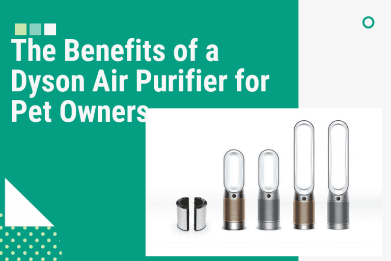 The Benefits of a Dyson Air Purifier for Pet Owners