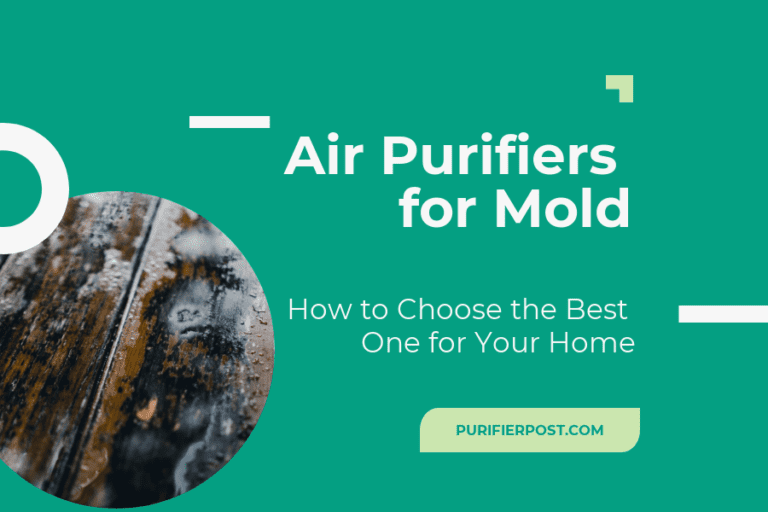 Air Purifiers for Mold: How to Choose the Best One for Your Home