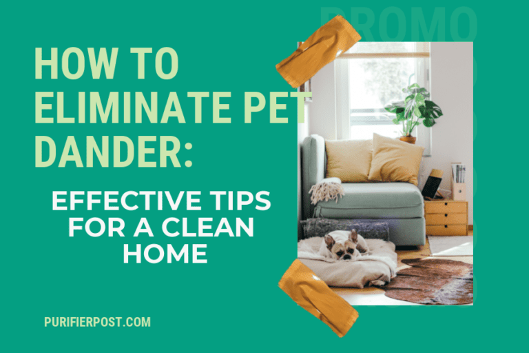 How to Eliminate Pet Dander: Effective Tips for a Clean Home