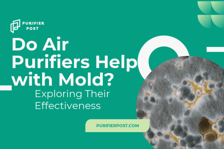 Do Air Purifiers Help with Mold? Exploring Their Effectiveness