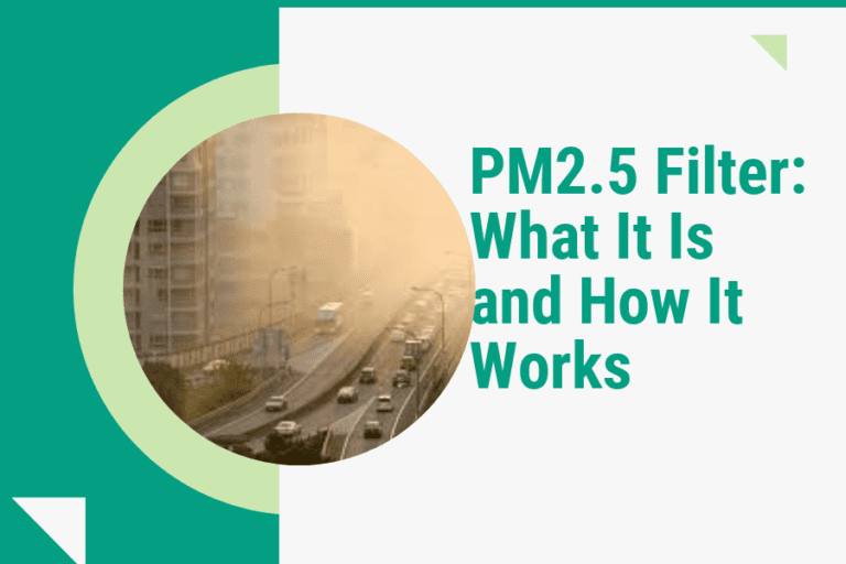 PM2.5 Filter: What It Is and How It Works