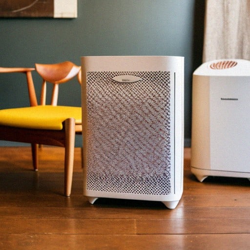 Improving Indoor Air Quality: The Benefits of Air Purifiers and Dehumidifiers