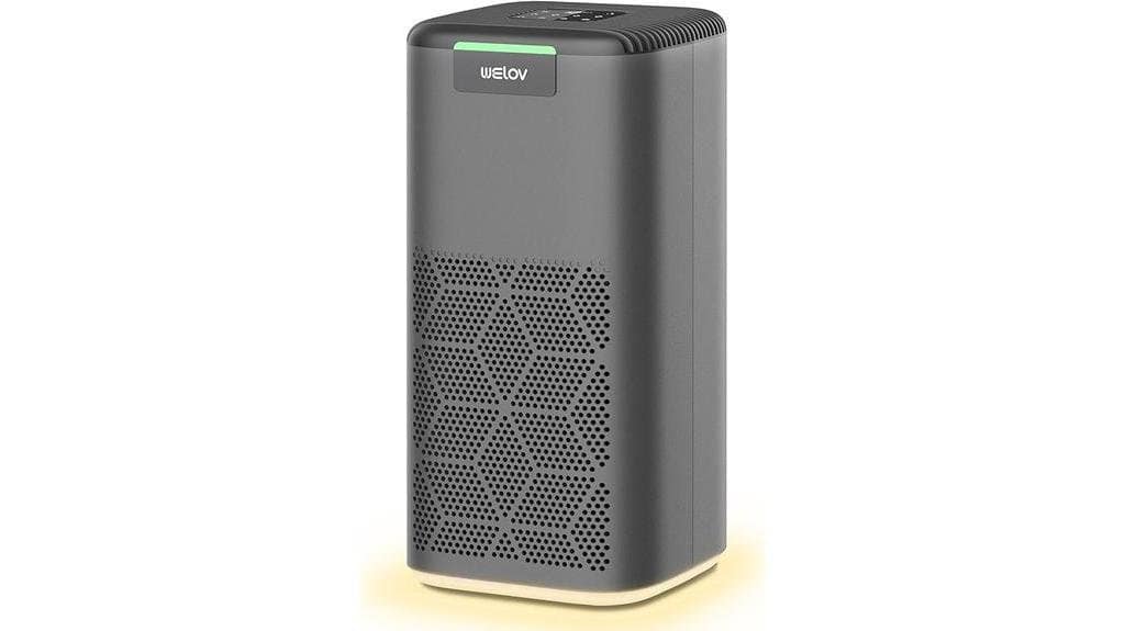 detailed review of home air purifiers