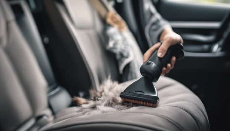 5 Tips to Get Pet Hair Out of Your Car Quickly