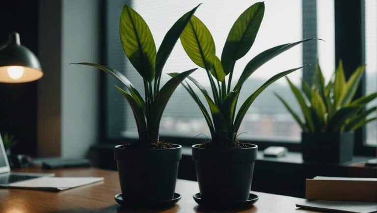 Low Light Office Plants: Air Purifiers Without Sunlight