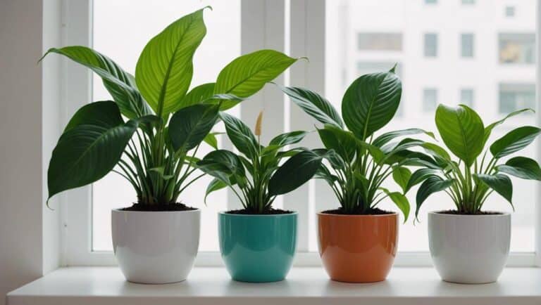 What Are the Top 3 Air Purifier Plants for Cleaner Indoor Air?